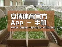 环境展示五