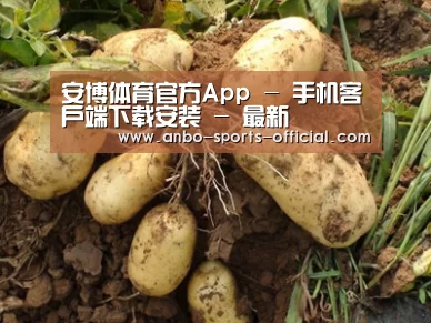 种植基地六