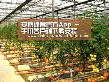 种植基地二
