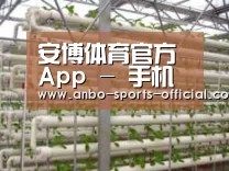 环境展示六