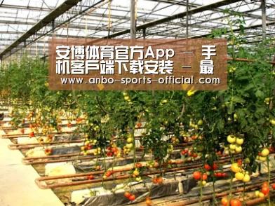 种植基地二(图1)